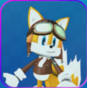 Aviatortailsportraitv242 — Sonic Speed Simulator option 10