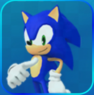 Sonicportraitv242 — Sonic Speed Simulator option 125