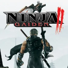 Zzzzz 1714487277ninjagaiden2 Square — 1900+ Games (2024) option 745