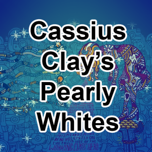 213 Cassius Clays Pearly Whites — Foster The People Songs (Aug 2024) option 28