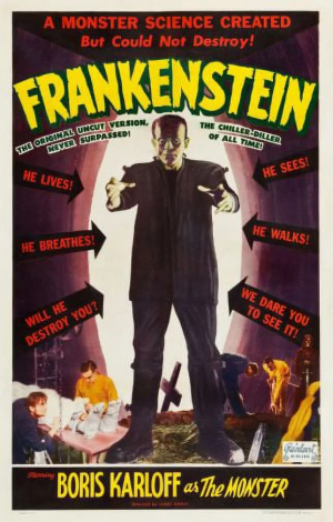 Frankenstein Movie Poster Reprint 27inx40in For Any Room 27x40 Multi Color Square Adults Poster Timede470997 2dcf 49ef B506 0e6f11eda3477e1b4d4958dac90152af112af9864deb — Ultimate Halloween Film Tier List option 26