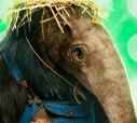 10anteater — masked singer faces option 164