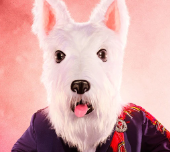 7mcterrier — masked singer faces option 95