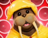 8walrus — masked singer faces option 122