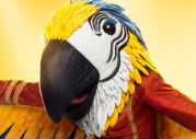 9macaw — masked singer faces option 144