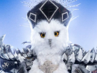 9nightowl — masked singer faces option 134