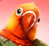 Zzzzz 170841218411lovebird — masked singer faces option 172