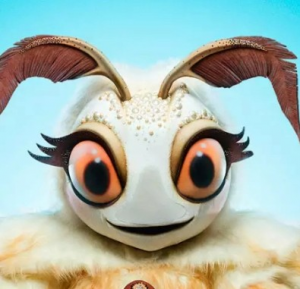 Zzzzz 1710885998snip It1710885793775 — masked singer faces option 178