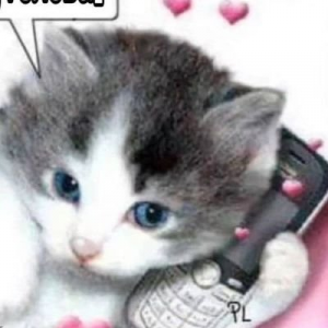 Zzzzz 17155282010355f35d 489d 4777 9e88 Af41bb08192a — Twitter Anarquía Hispanoamérica option 59