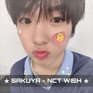 my kpop biases ★ — option 20