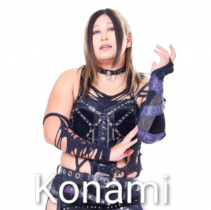 Definitive Joshi Tier List (250+ Wrestlers) — option 2