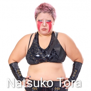 Definitive Joshi Tier List (250+ Wrestlers) — option 7
