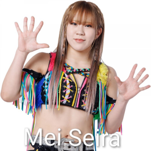 Definitive Joshi Tier List (250+ Wrestlers) — option 9
