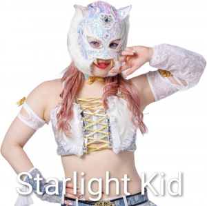 Definitive Joshi Tier List (250+ Wrestlers) — option 11