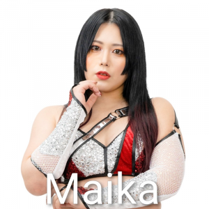 Definitive Joshi Tier List (250+ Wrestlers) — option 15
