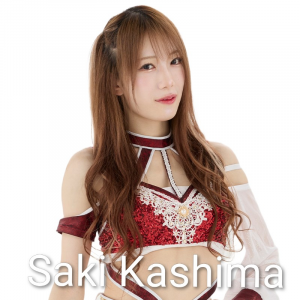 Definitive Joshi Tier List (250+ Wrestlers) — option 19