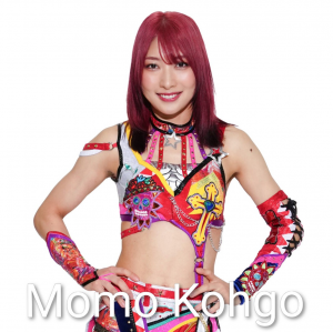 Definitive Joshi Tier List (250+ Wrestlers) — option 21