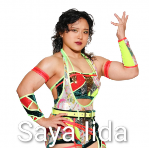 Definitive Joshi Tier List (250+ Wrestlers) — option 22