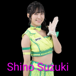 Definitive Joshi Tier List (250+ Wrestlers) — option 34