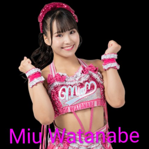 Definitive Joshi Tier List (250+ Wrestlers) — option 36