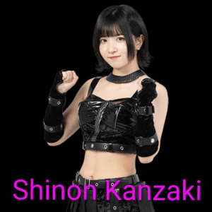 Definitive Joshi Tier List (250+ Wrestlers) — option 37