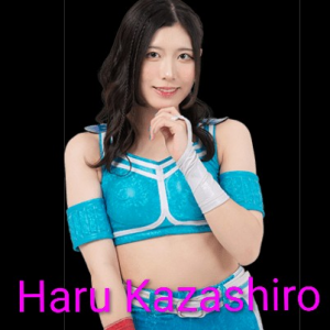 Definitive Joshi Tier List (250+ Wrestlers) — option 42