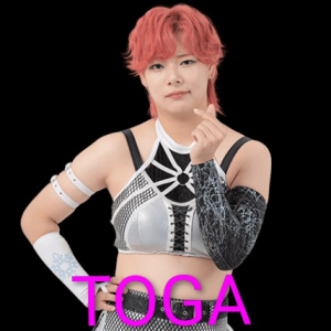 Definitive Joshi Tier List (250+ Wrestlers) — option 43
