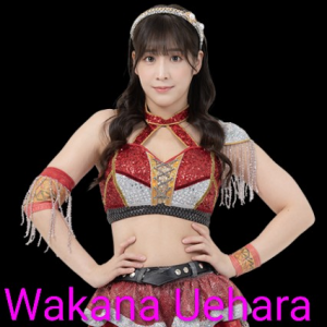 Definitive Joshi Tier List (250+ Wrestlers) — option 45