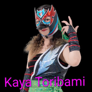 Definitive Joshi Tier List (250+ Wrestlers) — option 46