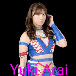 Definitive Joshi Tier List (250+ Wrestlers) — option 47