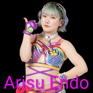 Definitive Joshi Tier List (250+ Wrestlers) — option 48