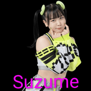 Definitive Joshi Tier List (250+ Wrestlers) — option 49