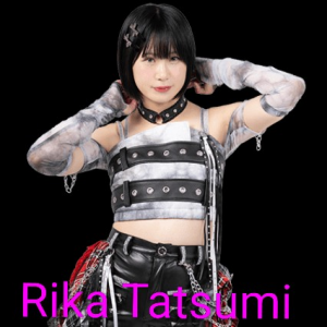 Definitive Joshi Tier List (250+ Wrestlers) — option 56