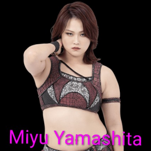 Definitive Joshi Tier List (250+ Wrestlers) — option 58