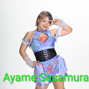 Definitive Joshi Tier List (250+ Wrestlers) — option 75