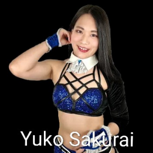 Definitive Joshi Tier List (250+ Wrestlers) — option 76