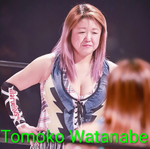Definitive Joshi Tier List (250+ Wrestlers) — option 80