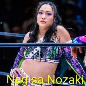 Definitive Joshi Tier List (250+ Wrestlers) — option 82