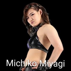 Definitive Joshi Tier List (250+ Wrestlers) — option 83