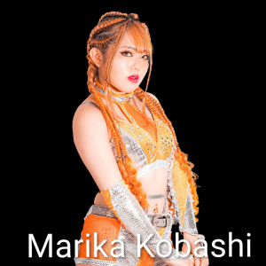 Definitive Joshi Tier List (250+ Wrestlers) — option 85