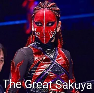 Definitive Joshi Tier List (250+ Wrestlers) — option 94