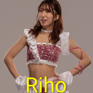 Definitive Joshi Tier List (250+ Wrestlers) — option 99