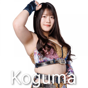 Zzzzz 17702516161000000715 — Definitive Joshi Tier List (250+ Wrestlers) option 117