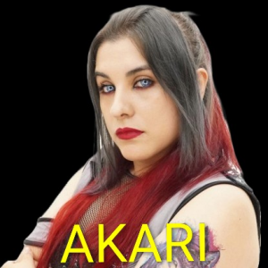 Zzzzz 17702516171000000647 — Definitive Joshi Tier List (250+ Wrestlers) option 129