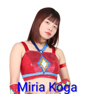 Zzzzz 17702516171000000663 — Definitive Joshi Tier List (250+ Wrestlers) option 136