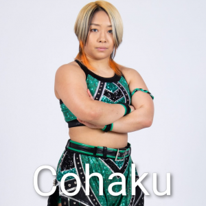 Zzzzz 17702516181000000626 — Definitive Joshi Tier List (250+ Wrestlers) option 144