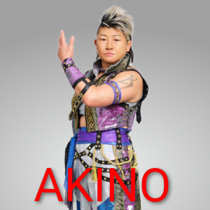 Zzzzz 17702516181000000628 — Definitive Joshi Tier List (250+ Wrestlers) option 146