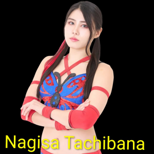 Zzzzz 17702516191000000573 — Definitive Joshi Tier List (250+ Wrestlers) option 153