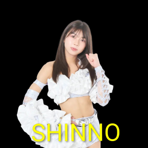 Zzzzz 17702516201000000564 — Definitive Joshi Tier List (250+ Wrestlers) option 164