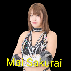 Zzzzz 17702516201000000578 — Definitive Joshi Tier List (250+ Wrestlers) option 169